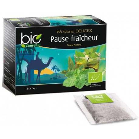 infusion-delices-pause-fraicheur-saveur-menthe-marocaine-bio-conseils