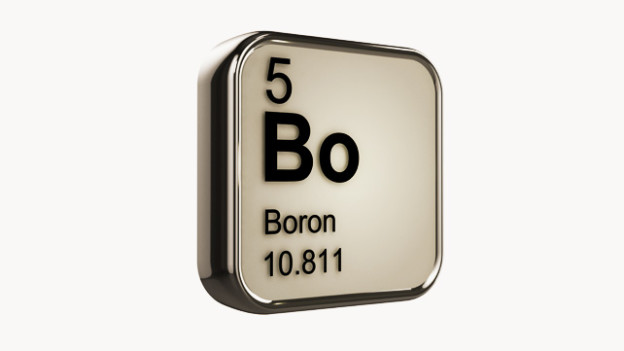 bore oligo element bio sante senior