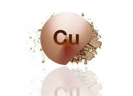 cuivre oligo element bio sante senior