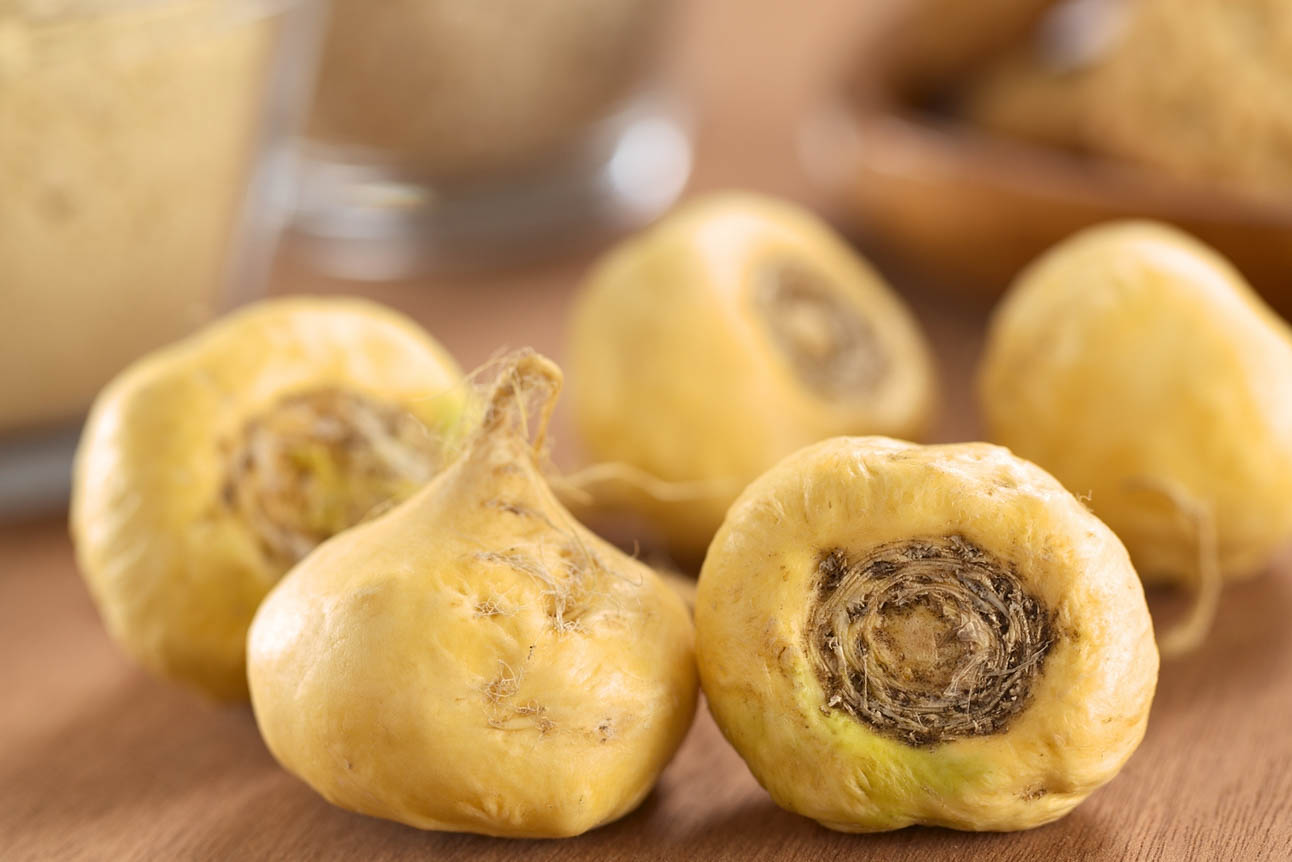 Maca