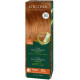 Crème colorante Couleurs d'Automne 210 cheveux chatains 150 ml Logona coloration végétale Bio santé sénior