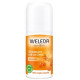 Déodorant roll on 24h Argousier 50ml Weleda mandarine orange Bio sante senior