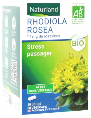 Floraviva Rhodiola Rosea Cápsulas de 500 mg - Suplemento adaptógeno natural para | UK