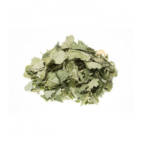 Cassis feuilles coupées gros bio 100gr Herboristerie de Paris infusion pour les articulations et les allergies Bio santé sénior
