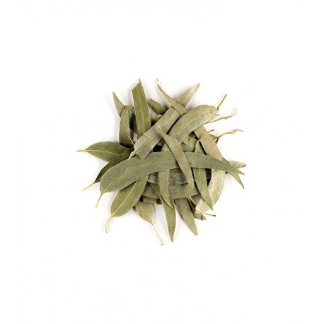 Eucalyptus feuilles longues entières bio 100g Herboristerie de Paris eucalyptus globulus tisane hivernale Bio
