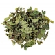 Mélisse Feuille entière BIO 100g Herboristerie de Paris melissa officinalis Bio santé sénior