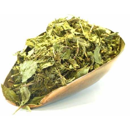 Menthe poivrée bio feuille 100g Herboristerie de Paris digestion vésicule biliaire Bio santé sénior