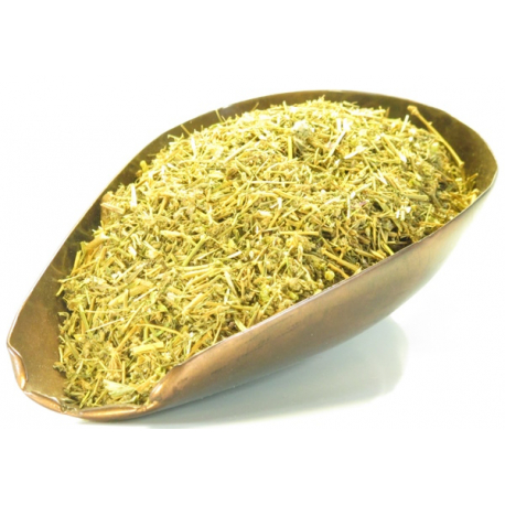 Sabline Rouge Arenaria partie aérienne tisane 100g Herboristerie de Paris casse pieerres élimination Bio santé sénior