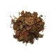 Trèfle rouge fleur 100g Herboristerie de Paris isoflavones ménopause trifolium partense Bio santé sénior
