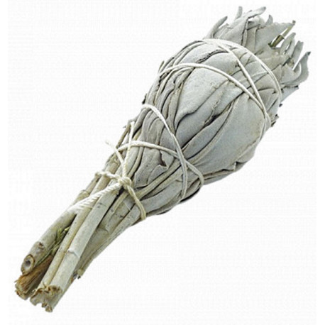 Sauge Blanche à Brûler Torche 20g Herboristerie de Paris salvia apiana sauge de californie ressourcer Bio santé sénior