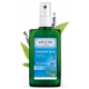 Déodorant spray Sauge 100ml Weleda citrate de triéthyle fraicheur bio santé sénior