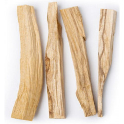 Palo Santo 25gr Herboristerie de Paris bois sacré à brûler Bio santé sénior purification encens