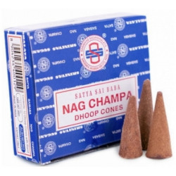 Nag Champa Encens à brûler en cône 10 pièces plénitude hindou yoga ressourcement Bio santé sénior