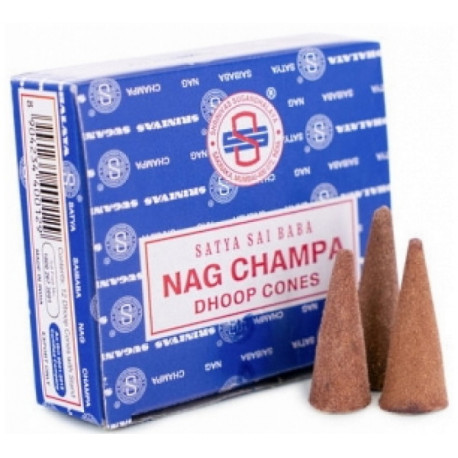 Nag Champa Encens à brûler en cône 10 pièces plénitude hindou yoga ressourcement Bio santé sénior