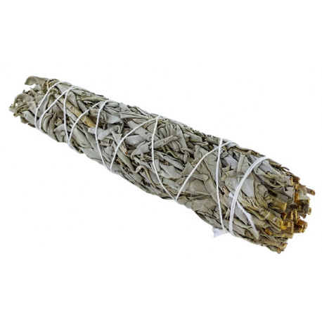 Sauge blanche de Californie à brûler 23 cm XL 70gr Herboristerie de Paris