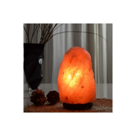 Lampe en Cristal de Sel d'Himalaya de 2 à 3 kg