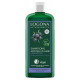 Shampooing antipelliculaire au genévrier 250 ml Logona romarin ortie anti séborrhée Bio santé sénior