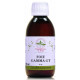Phyto concentré Foie Gamma GT 200 ml Herboristerie de Paris fonction hépatique dégradée Bio santé sénior