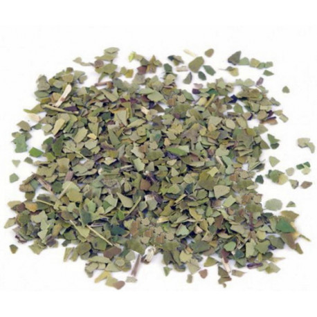 Tisane Maté Vert fine feuille bio 100 gr Herboristerie de Paris maté vert tonifiant infusion yerba maté