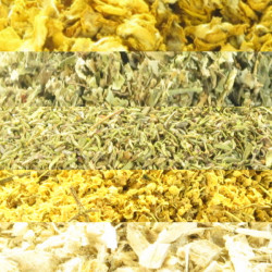 Tisane Aphone Cordes Vocales 100 gr Herboristerie de Paris perte de voix et de timbre mal de gorge Bio santé sénior