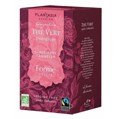 Thé vert Forme Gingembre Cannelle 18 sachets Plantasia thé vert bio de darjeeling Bio santé sénior