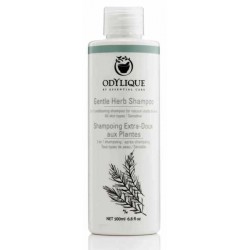 Shampoing Extra Doux aux Plantes bio 500 ml Odylique shampooing extra doux revitalisant Bio santé sénior