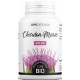 Chardon Marie Bio 200 gélules de 300mg GPH Diffusion confort du foie (Silybum marianum) Bio santé sénior