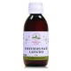 Phyto concentré Défenses Naturelles Lapacho 200 ml Herboristerie de Paris pau d'arco immunité Bio santé sénior herboristerie