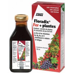 Floradix Fer et Plantes 250 ml Salus gluconate de fer anti fatigue Bio santé sénior
