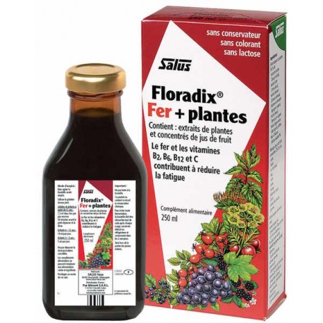 Floradix Fer et Plantes 250 ml Salus gluconate de fer anti fatigue Bio santé sénior