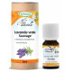 Huile essentielle de Lavande Vraie sauvage 10ml Phytofrance lavande fine lavandula angustifolia bio santé sénior