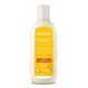 Shampoing régénérant à l'Avoine cheveux secs et abîmés 190ml